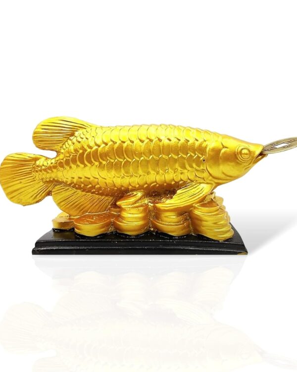 Golden Arowana Fish Feng Shui Statue on Coins Base | Wealth & Prosperity Symbol, Resin Material